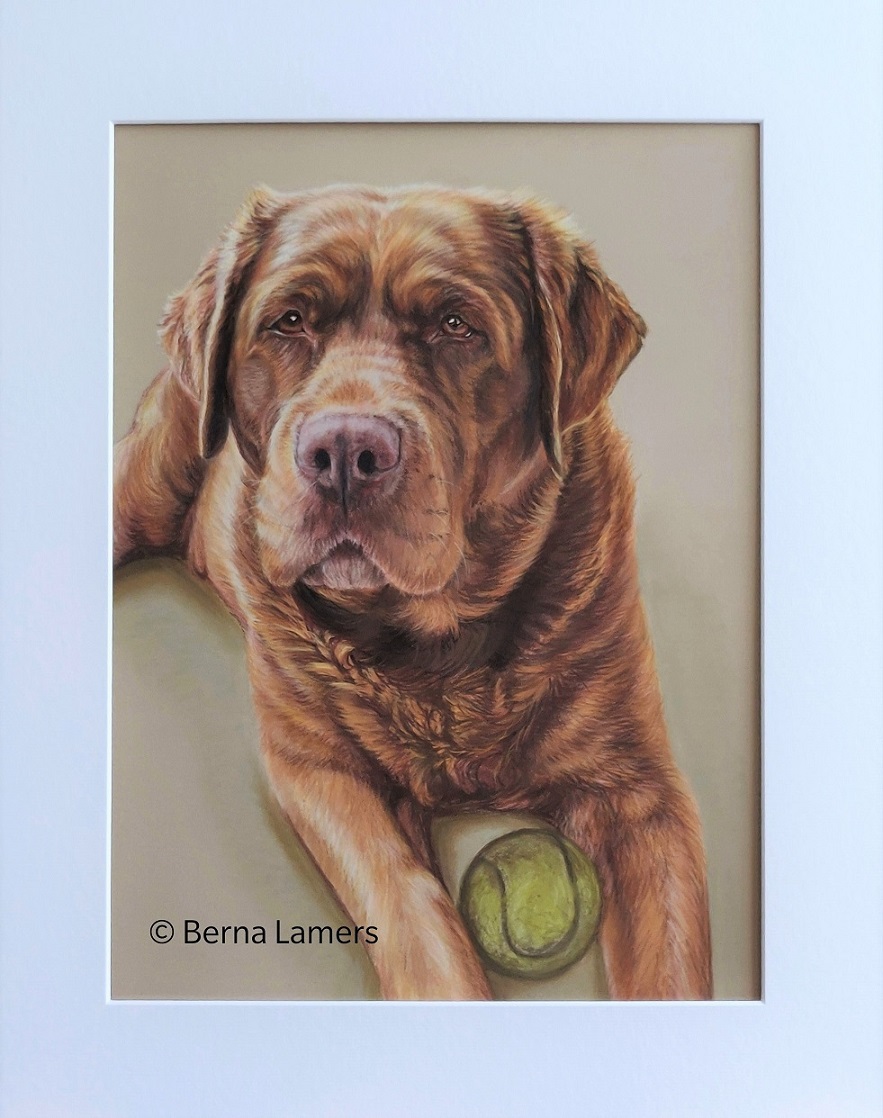 Dierenportret-hond-Lotje-40x50cm-pastel-opdracht.jpg
